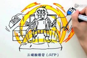 十万个冷知识笑话；冷大爷冷知识