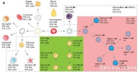 人类大体的知识谱系是什么，如何理解谱系
