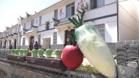 农村生活小常识简单有效 - 农村山林承包政策