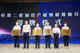 知识产权公司做什么的 知识产权公司是干什么的