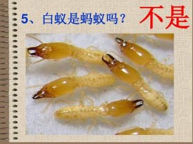 生物趣味知识科普故事视频 生物科普知识大全