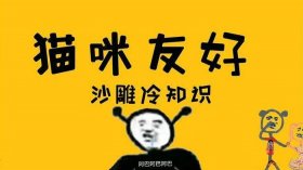 冷知识大全搞笑沙雕，沙雕问题大全