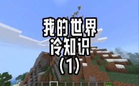 我的世界冷知识1000条；我的世界奇葩冷知识