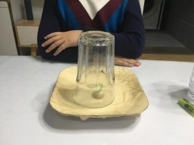 十个简单的科学小实验步骤 - 小实验简单又好做三年级