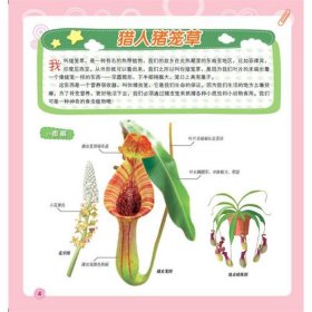 小学生自然科学小常识 - 一二三年级自然科普