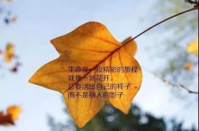 学好知识的重要性的感悟短句；短句