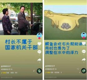 实用冷知识66 - 十万个奇葩冷知识文案