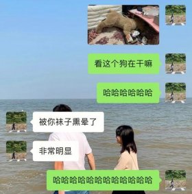 沙雕生活日常小知识有哪些 沙雕的日常