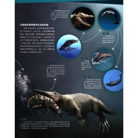 海洋科普知识资料大全书籍；海洋生物知识大全