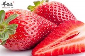 日常生活科普小知识视频大全，草莓科普小知识