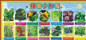 百科知识大全100个；百科知识大全下载