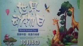 百科小知识儿童 - 世界动物日