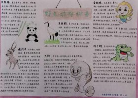 动物百科知识大全及答案 中国保护动物选择题