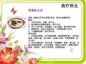 健康养生的知识分享，健康养生分享会总结