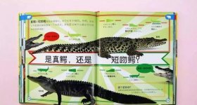 冷知识科普动物不为人知，动物冷知识科普