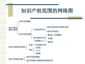 知识产权的概念和种类 - 概念的分类有哪些