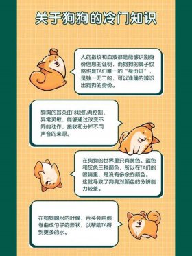 有趣冷知识生活小常识 趣味冷知识科普