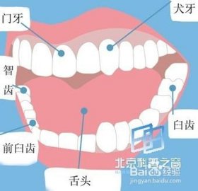 儿童生活小常识口诀妙招、儿童正确刷牙口诀