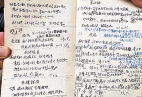 对知识的理解3000字；知识改变命运700字议论文