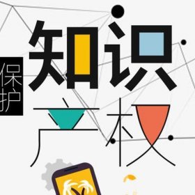 知识产权包括哪些内容 - 知识产权的保护范围