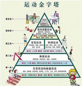 体育文化与体育科学知识的关系、体育科学是什么
