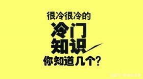 冷知识文案素材300字 - 冷知识素材库免费