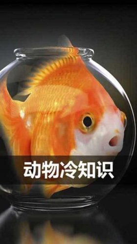 冷知识生活中常见的东西，你不知道的10个冷知识