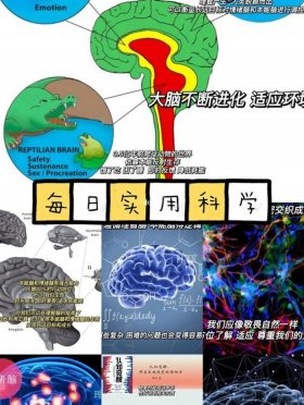 生物上的冷知识、科学冷知识