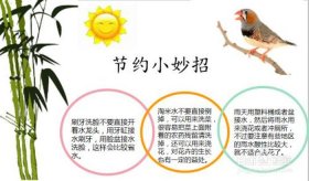 生活小常识100字左右、生活小妙招100条