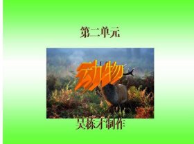 动物科学知识科普；动物趣味小知识