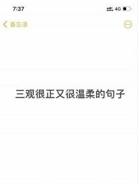 温馨小贴士的句子，三观超正的温柔句子