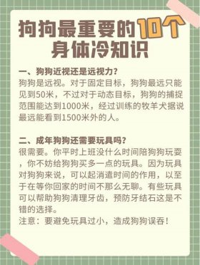 狗狗冷知识素材库 - 狗的知识资料大全