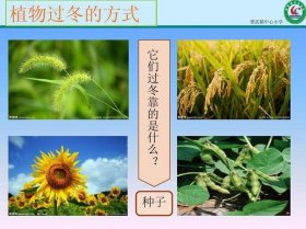 植物是怎样过冬的科普、植物过冬有办法