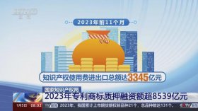 知识产权案例视频；知识产权国际案例经典2023年