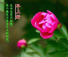 平安健康顺口溜祝福语，一到十祝福语顺口溜