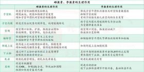 女生常识小知识 - 女性外部生殖图示的结构详解