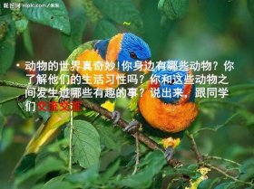 动物百科知识、二年级上册有趣的动物