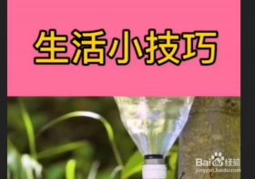 生活实用小妙招、10个生活小技巧