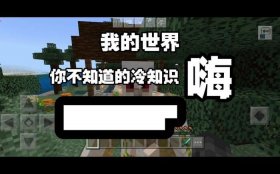 我的世界有哪些冷知识；我的世界冷知识大全