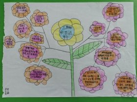 小学生知识大全图解，小学知识思维导图