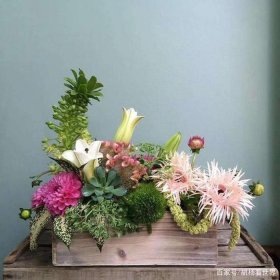 生活当中的为什么、生活中有什么美