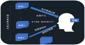 有知识但没有智慧的例子、知识和智慧的关系