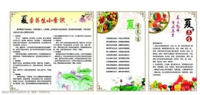 夏季健康知识宣传内容 - 夏季养生知识大全