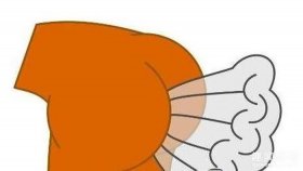 冷知识动画人物制作教程；一些很实用的冷知识