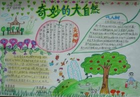 什么是大自然儿童科普、幼儿探索大自然的奥秘