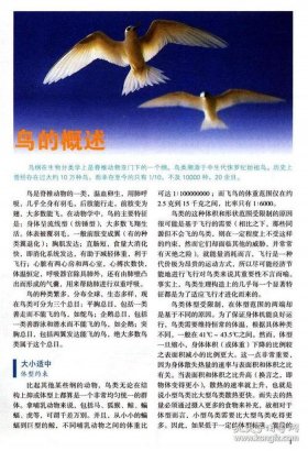 动物百科知识大全视频 - 中国常识1000题