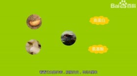 百科知识科普视频 - 秒懂百科知识小视频