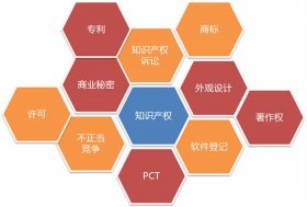 知识产权相关专业知识 如何保护知识产权
