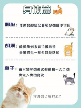 猫冷知识百科大全；关于猫咪的常识40条