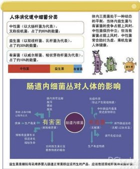 生活健康小知识分享益生菌 关于益生菌的知识总结